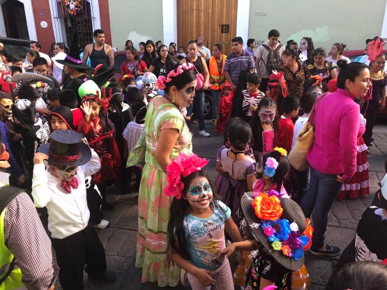 i6MuWDxARNmN7JDlfQjpDw