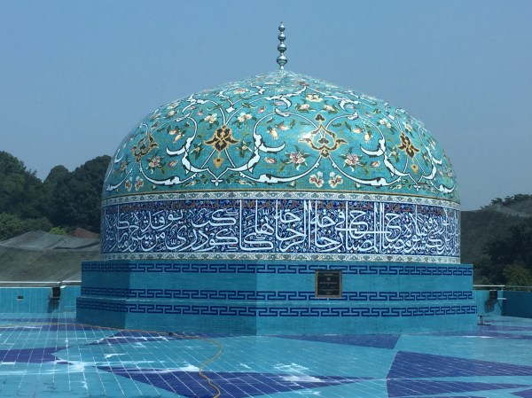 6dc618d9-a388-49f2-9353-2c1b904f01dc